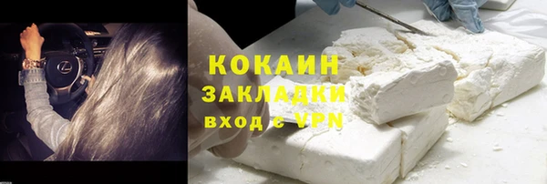 ГАЛЛЮЦИНОГЕННЫЕ ГРИБЫ Абаза