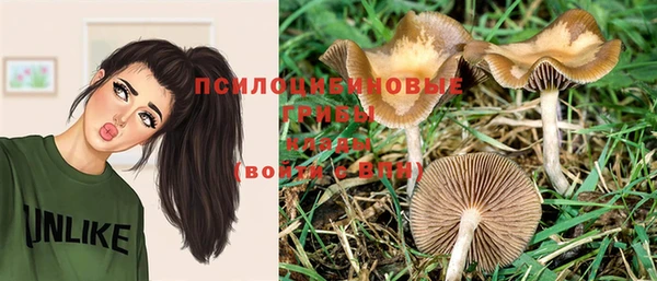индика Покровск