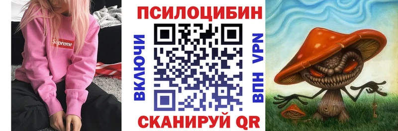 Галлюциногенные грибы Psilocybe  Шенкурск 